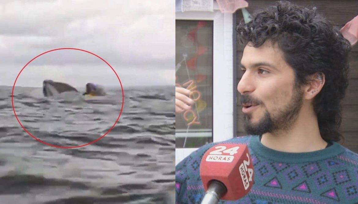 “Pensé que me había comido”: venezolano “tragado” por ballena cuenta su experiencia en Chile