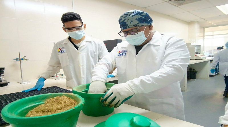 Investigadores venezolanos descubren sustratos para la producción de bioinsumos