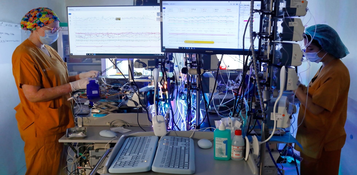 Japón da un paso histórico con el desarrollo del primer útero artificial