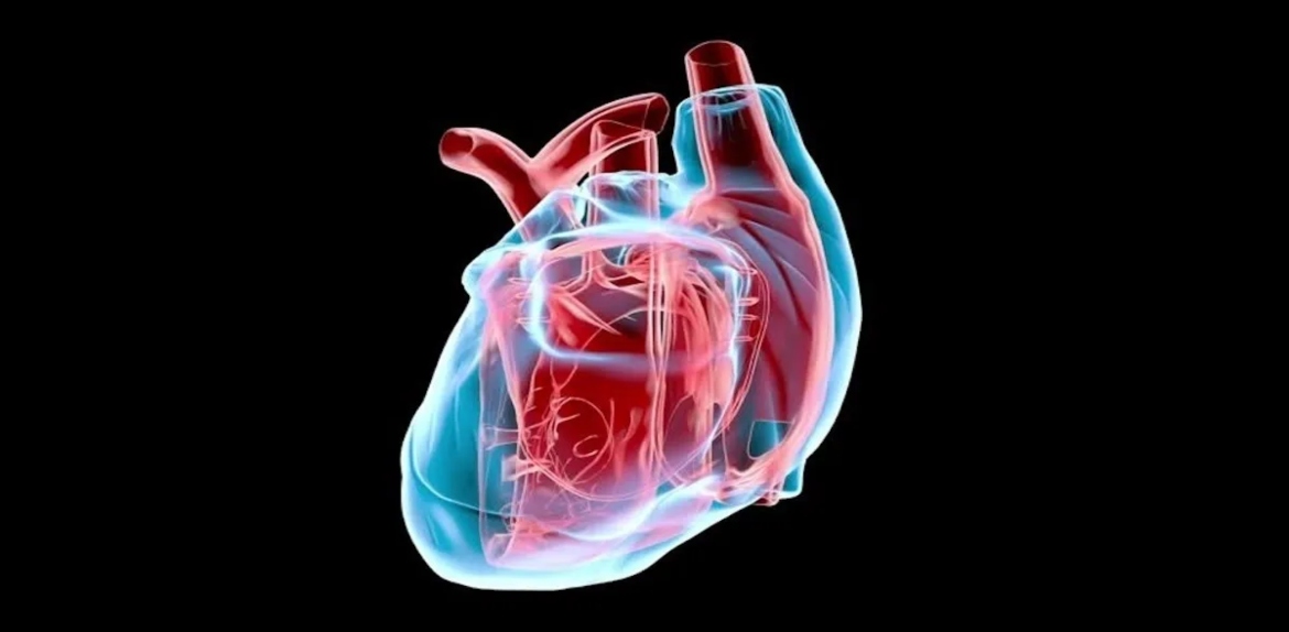 Sociedad Venezolana de Cardiología alerta sobre alarmante aumento de enfermedades cardiovasculares en Venezuela