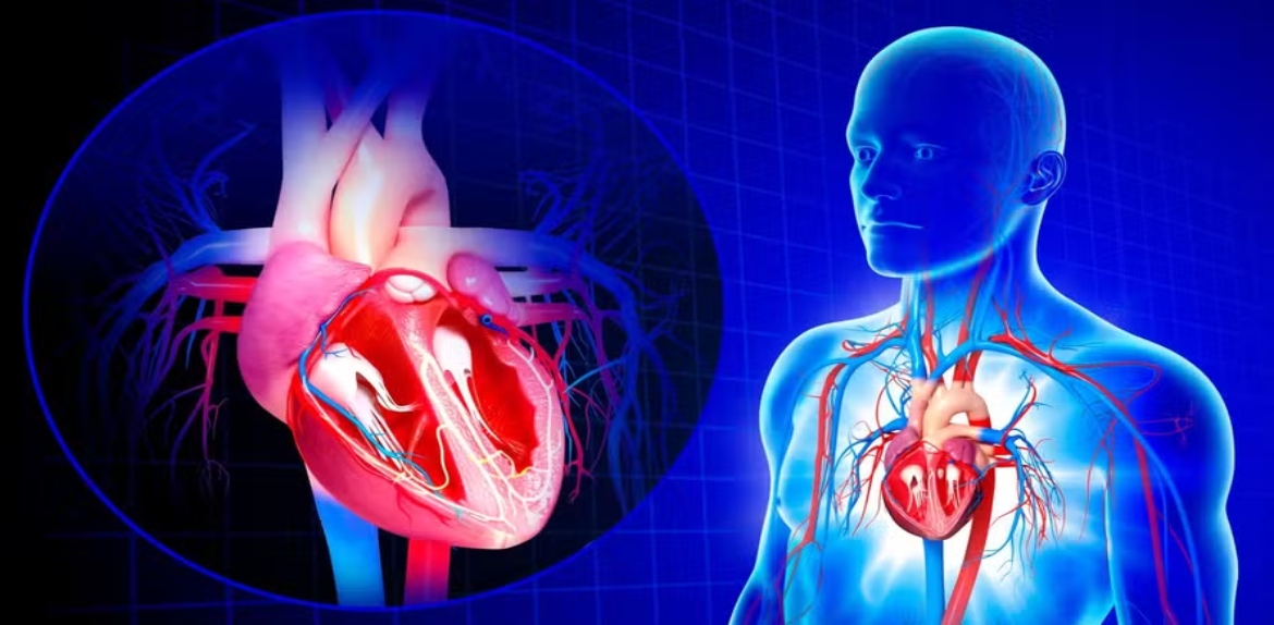 Nueva inteligencia artificial detecta señales de infarto antes de que ocurra