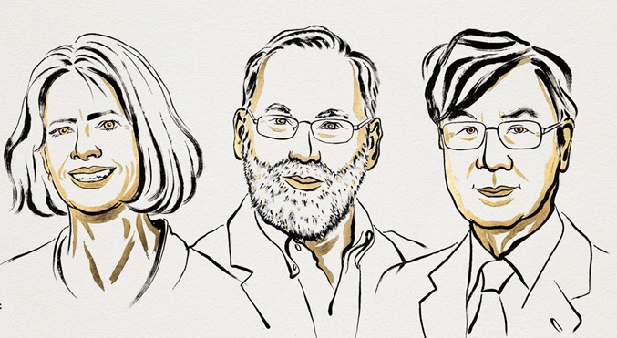 Premio Nobel de Medicina para Brunkow, Ramsdell y Sakaguchi