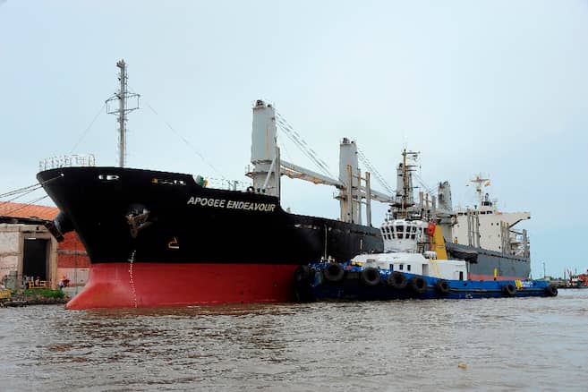 EE. UU. autoriza compra de fertilizantes venezolanos ante escasez global