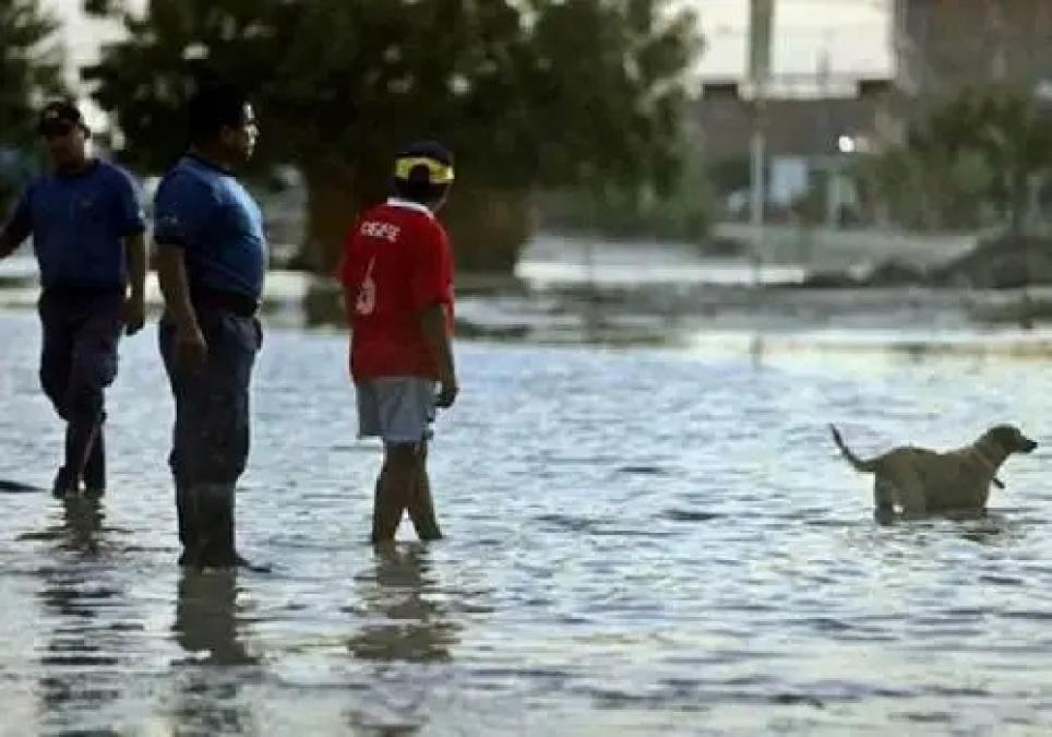 Leptospirosis causa nueve muertes y más de 1,200 contagios en Perú en 2026